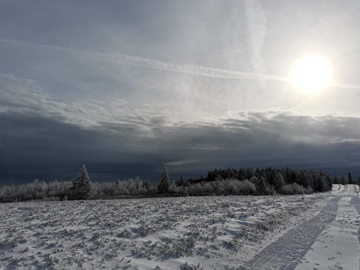 Gite Du Cerf Birkenwald Luaran gambar