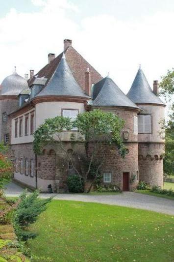 Gite Du Cerf Birkenwald Luaran gambar