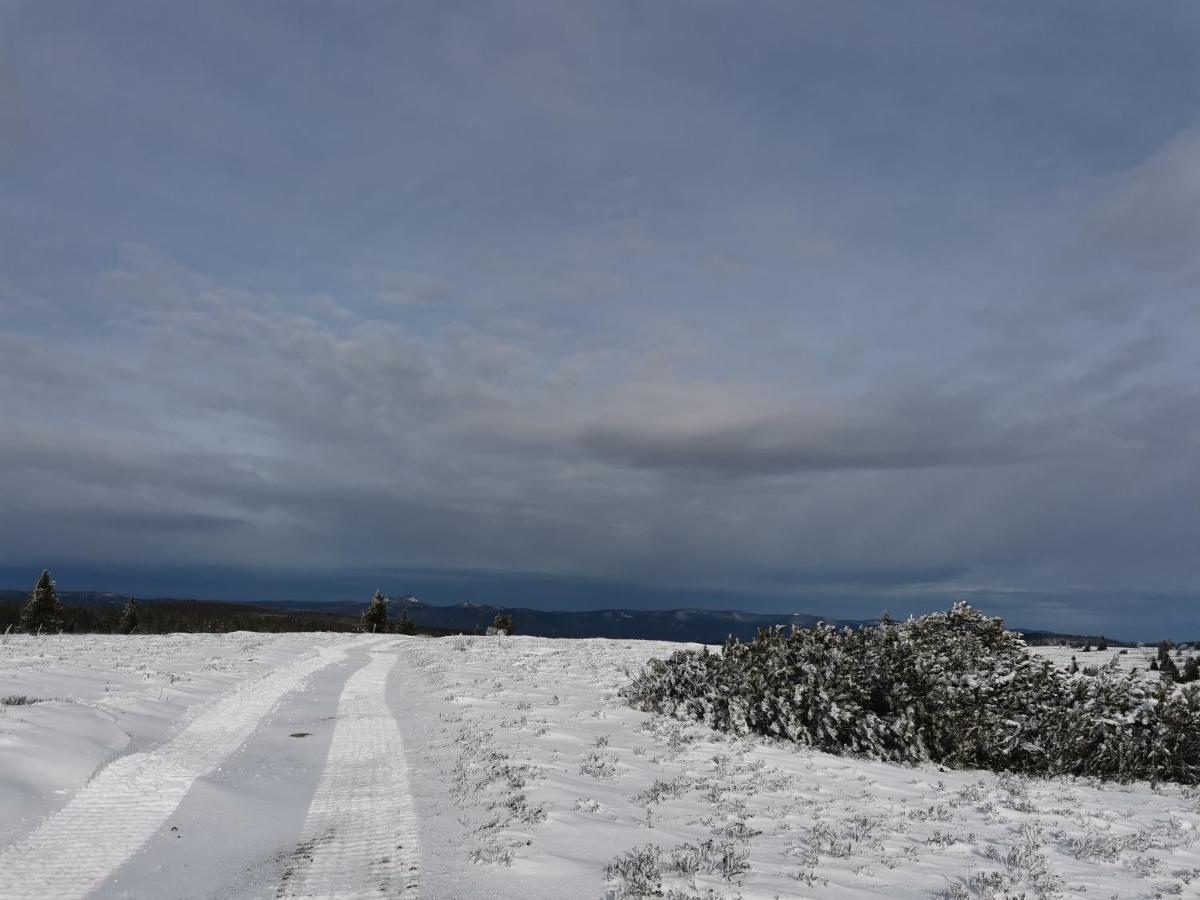 Gite Du Cerf Birkenwald Luaran gambar