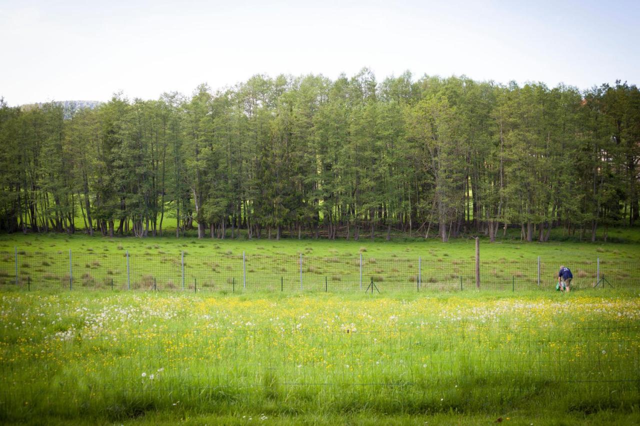 Gite Du Cerf Birkenwald Luaran gambar