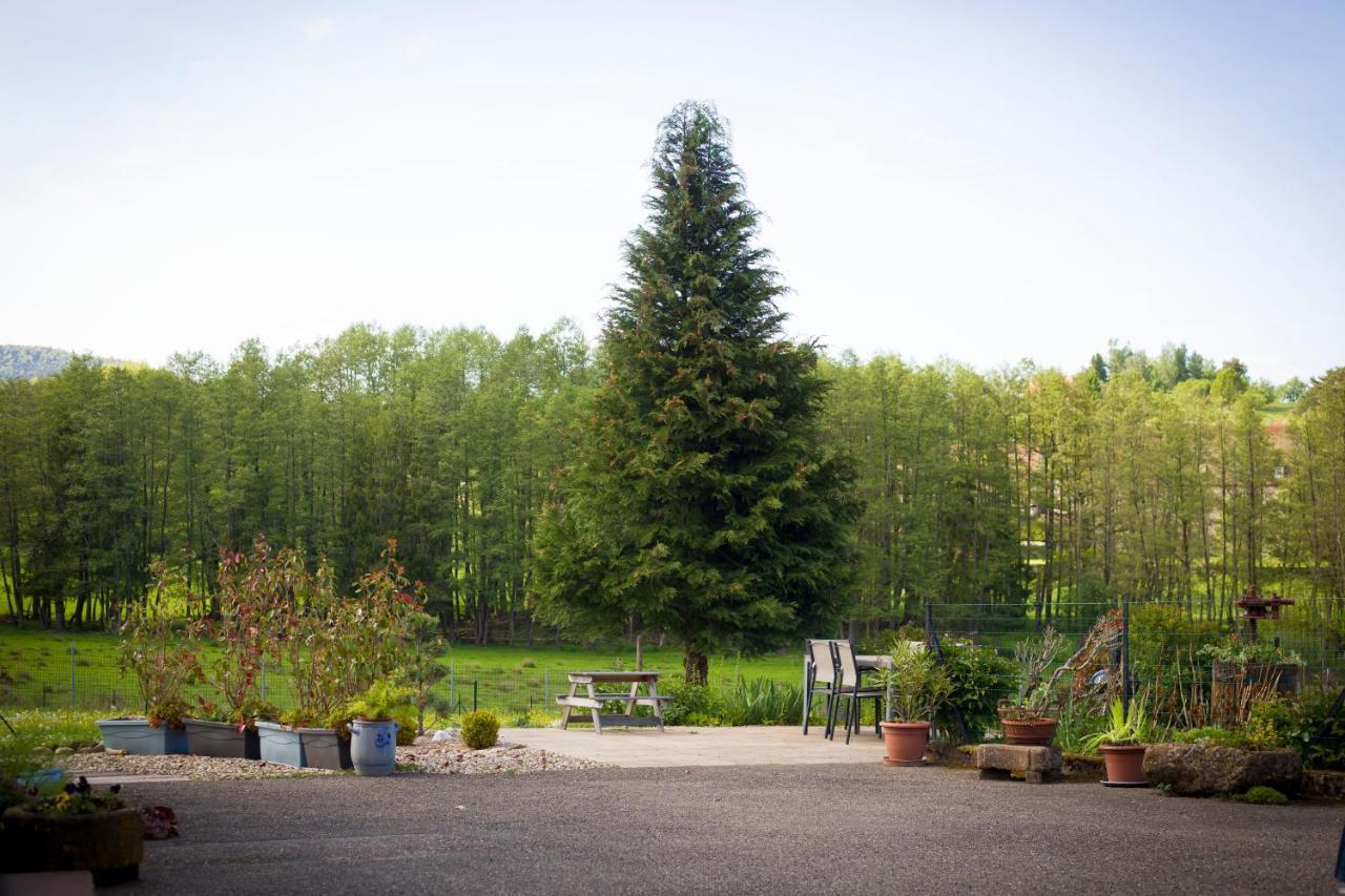 Gite Du Cerf Birkenwald Luaran gambar
